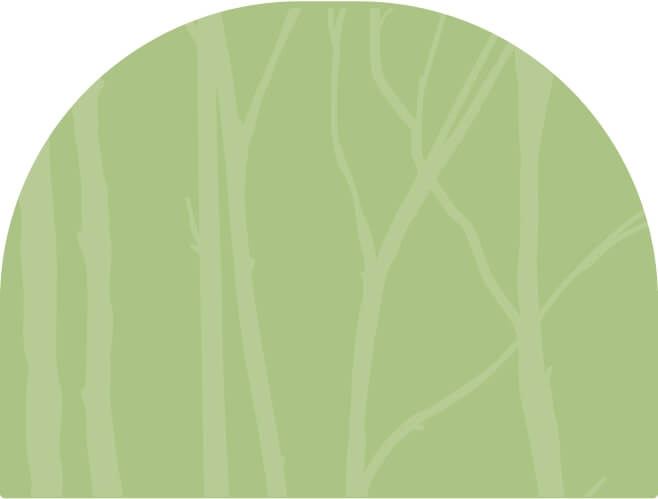 Tree breaches images bg