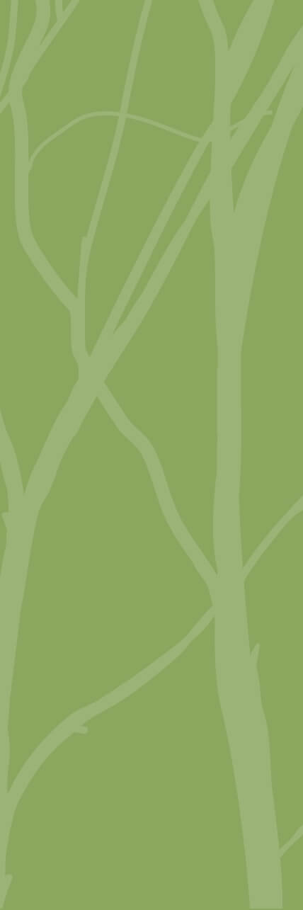Tree branches bg sm